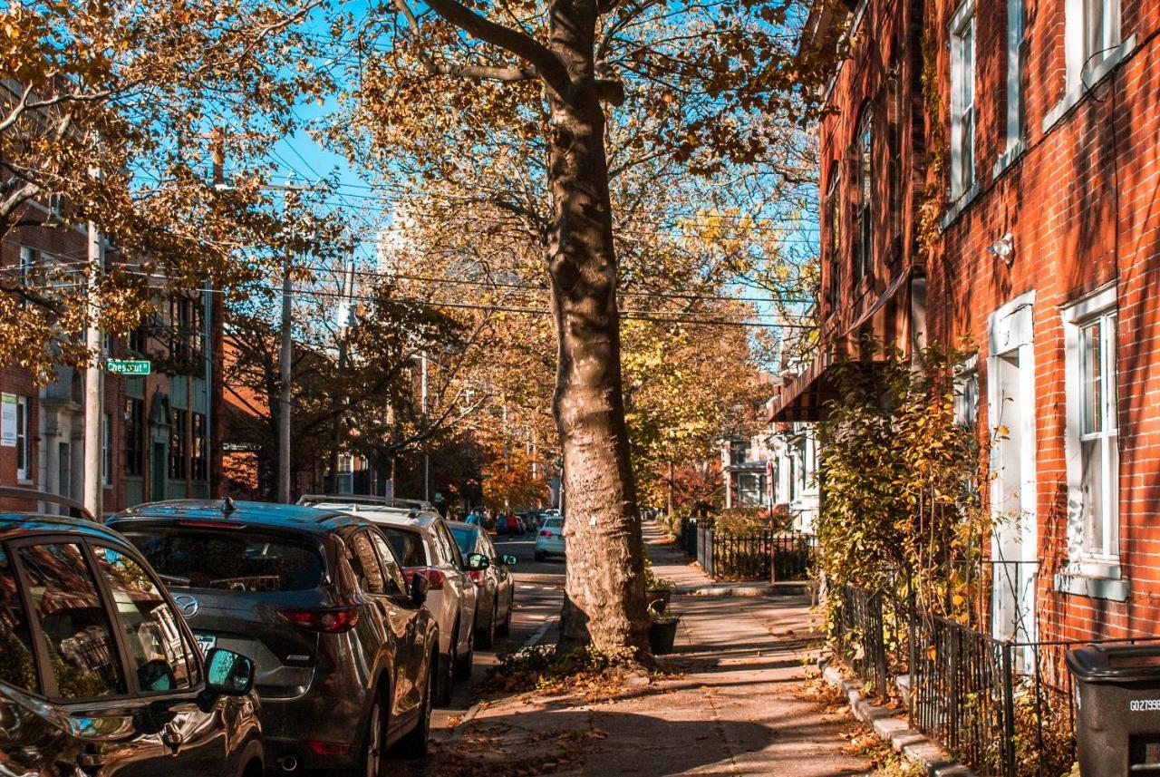 Gorgeous 1Br Wooster Sq. Apt. - Wshr/Dryr, Parking New Haven Luaran gambar